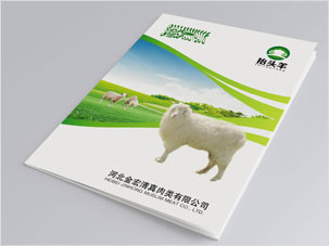 河北金宏清真肉類公司畫冊設(shè)計案例圖片