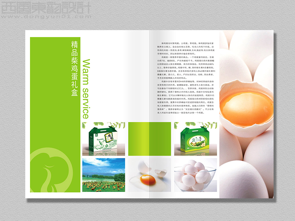 北京金鳳祥云商貿(mào)公司農(nóng)產(chǎn)品畫冊設(shè)計之精品柴雞蛋內(nèi)頁設(shè)計 北京金鳳祥云商貿(mào)公司農(nóng)產(chǎn)品畫冊設(shè)計之精品柴雞蛋內(nèi)頁設(shè)計