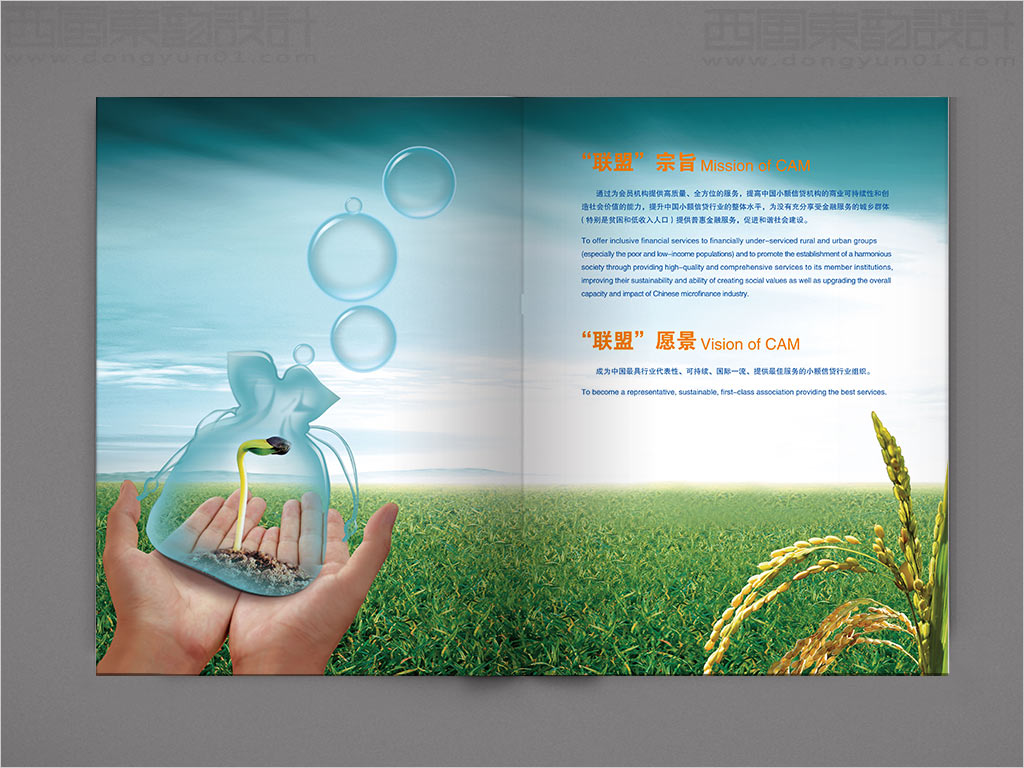 中國小額信貸聯(lián)盟年報設計之聯(lián)盟宗旨、愿景內頁設計