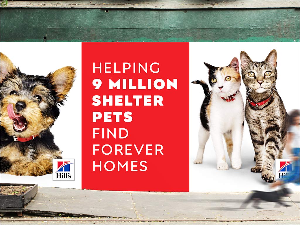 Hill's貓糧狗糧寵物食品海報設(shè)計