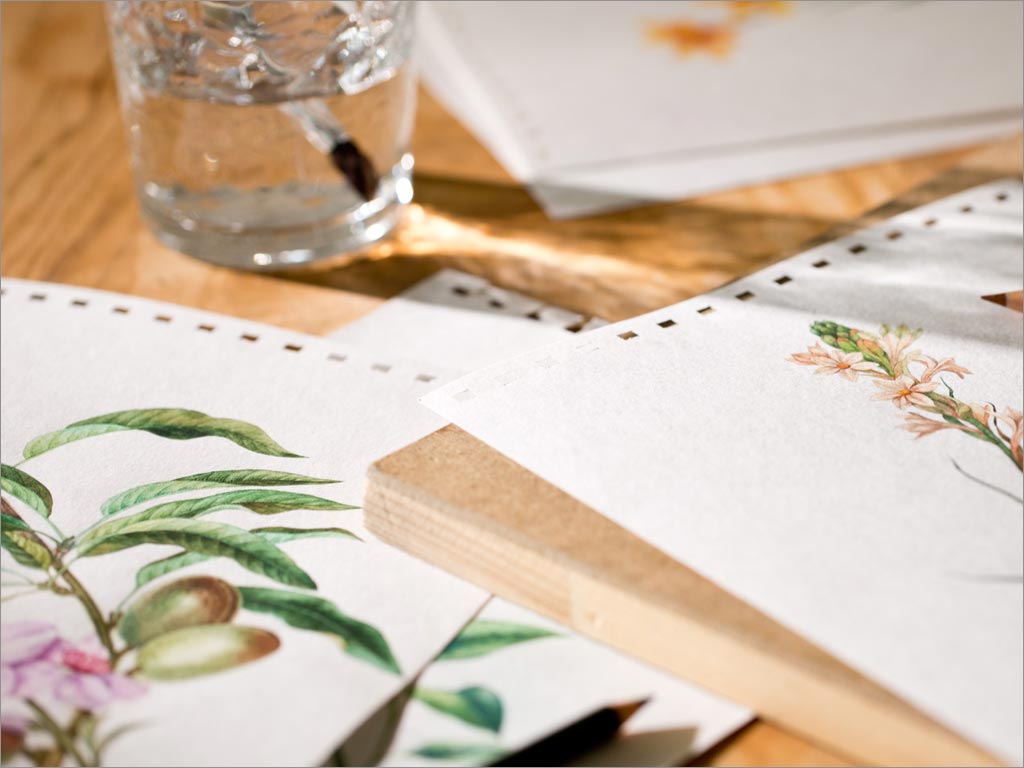 俄羅斯Floristica化妝品包裝設(shè)計(jì)之手繪插畫設(shè)計(jì)工作場景展示