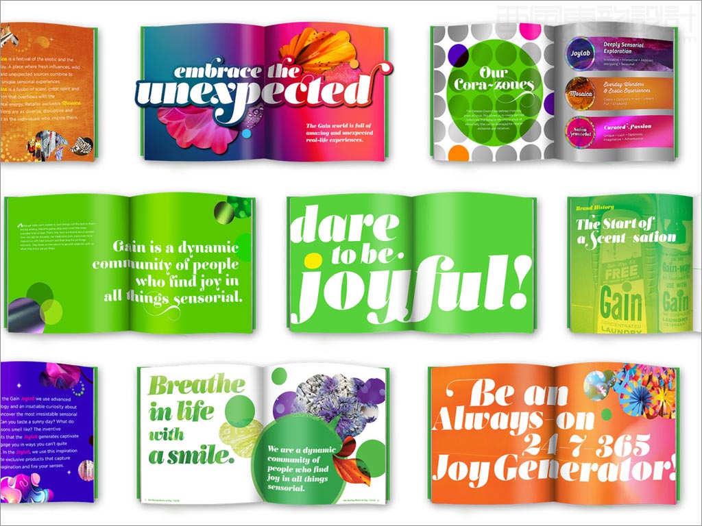 美國Gain洗衣液洗衣凝珠日化用品產(chǎn)品手冊內(nèi)頁設(shè)計(jì)