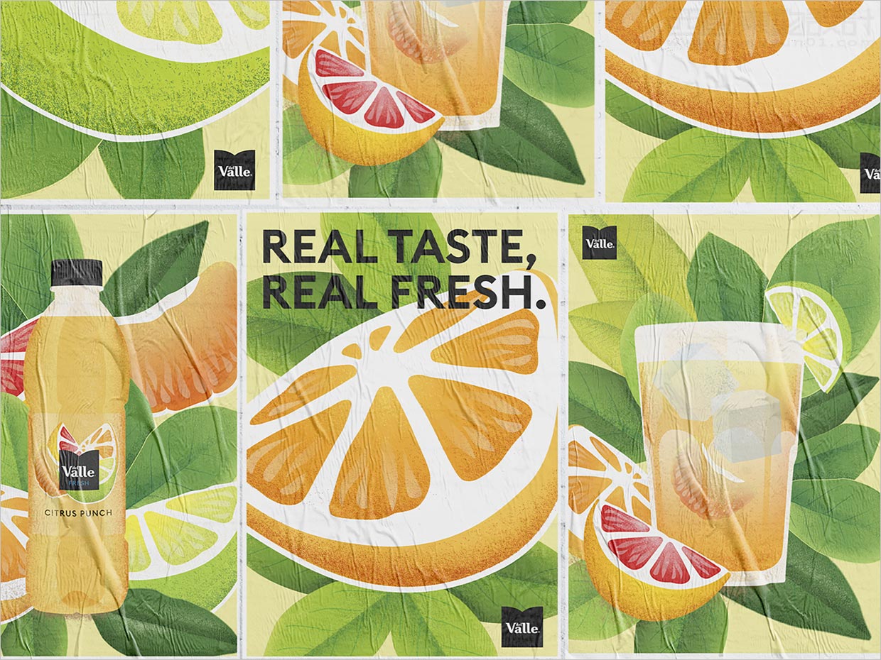 可口可樂公司Del Valle果汁飲料標簽包裝設(shè)計