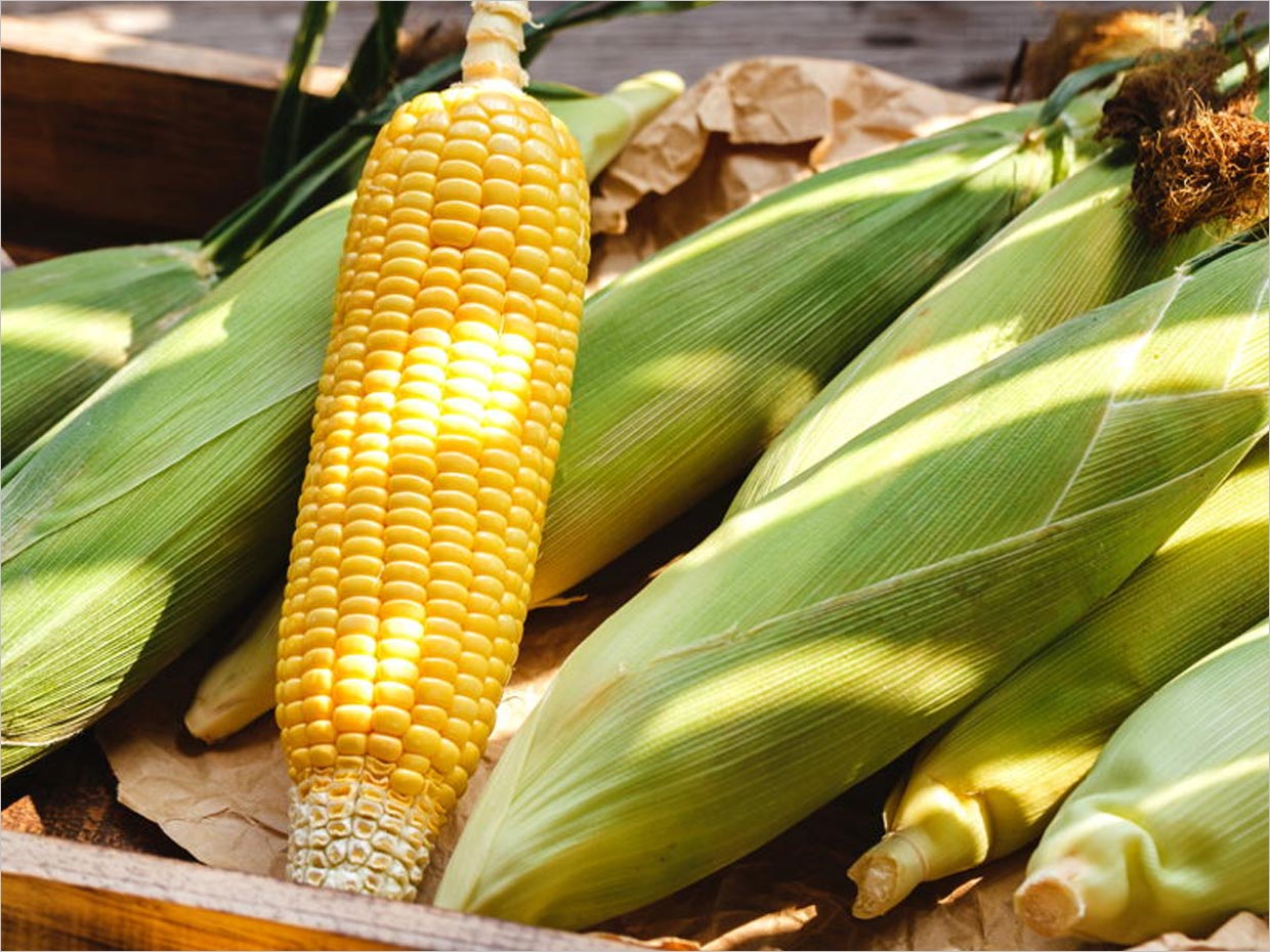 日本甜玉米農(nóng)產(chǎn)品包裝設(shè)計之實物照片