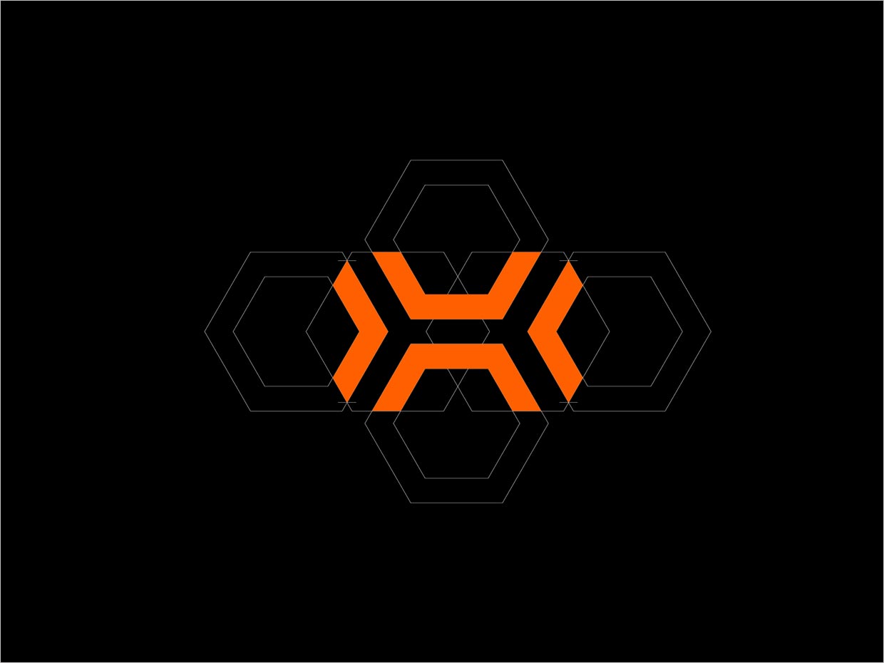 巴西Hauforge寵物保健品營養(yǎng)補充劑品牌logo圖形設計