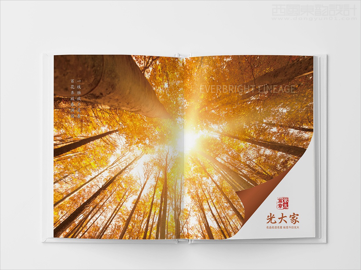 中國(guó)光大集團(tuán)畫(huà)冊(cè)設(shè)計(jì)之畫(huà)冊(cè)內(nèi)頁(yè)設(shè)計(jì) 中國(guó)光大集團(tuán)畫(huà)冊(cè)設(shè)計(jì)之畫(huà)冊(cè)內(nèi)頁(yè)設(shè)計(jì)