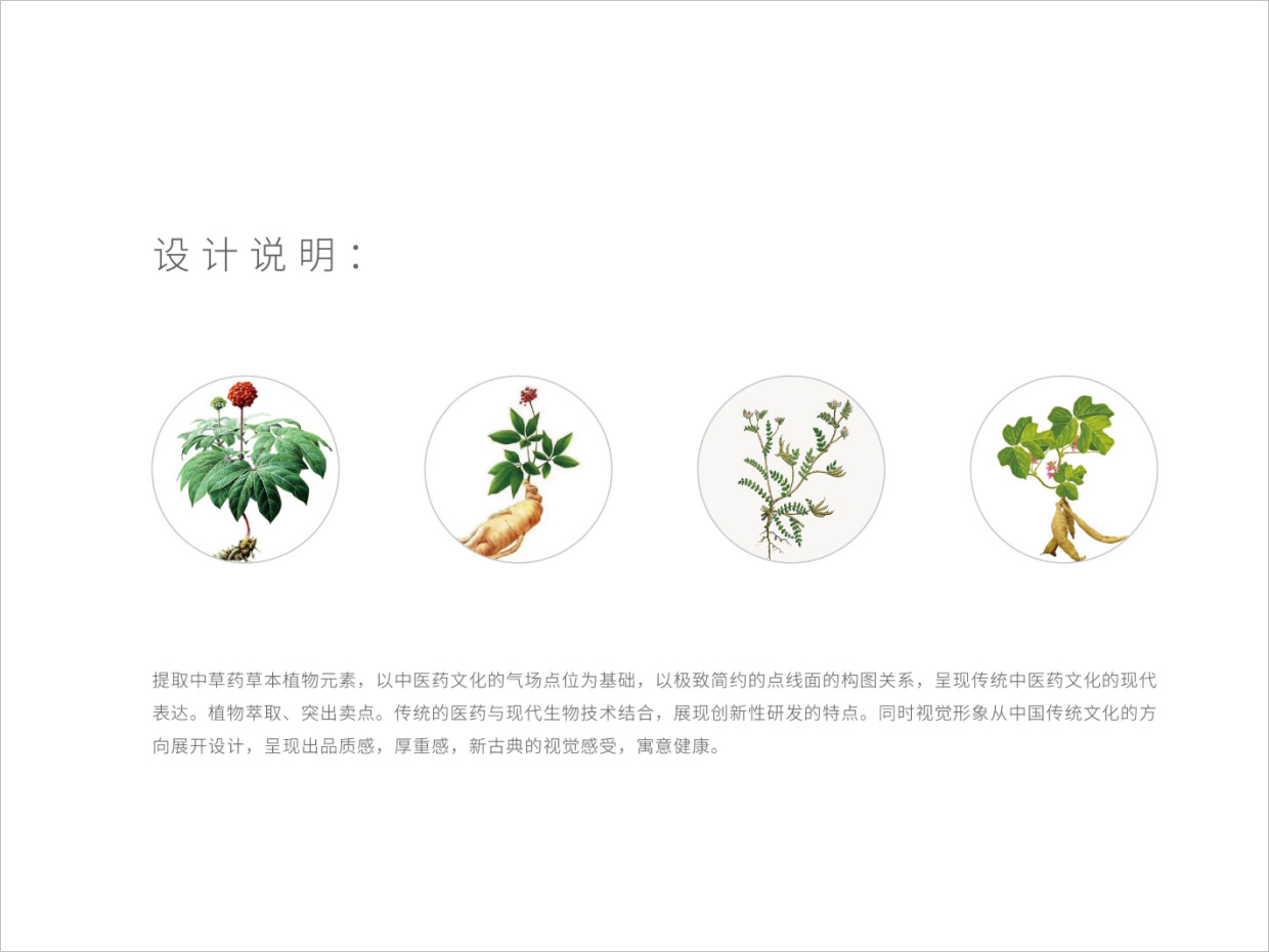 先聲藥業(yè)氣血康口服液包裝設(shè)計(jì)之設(shè)計(jì)說明