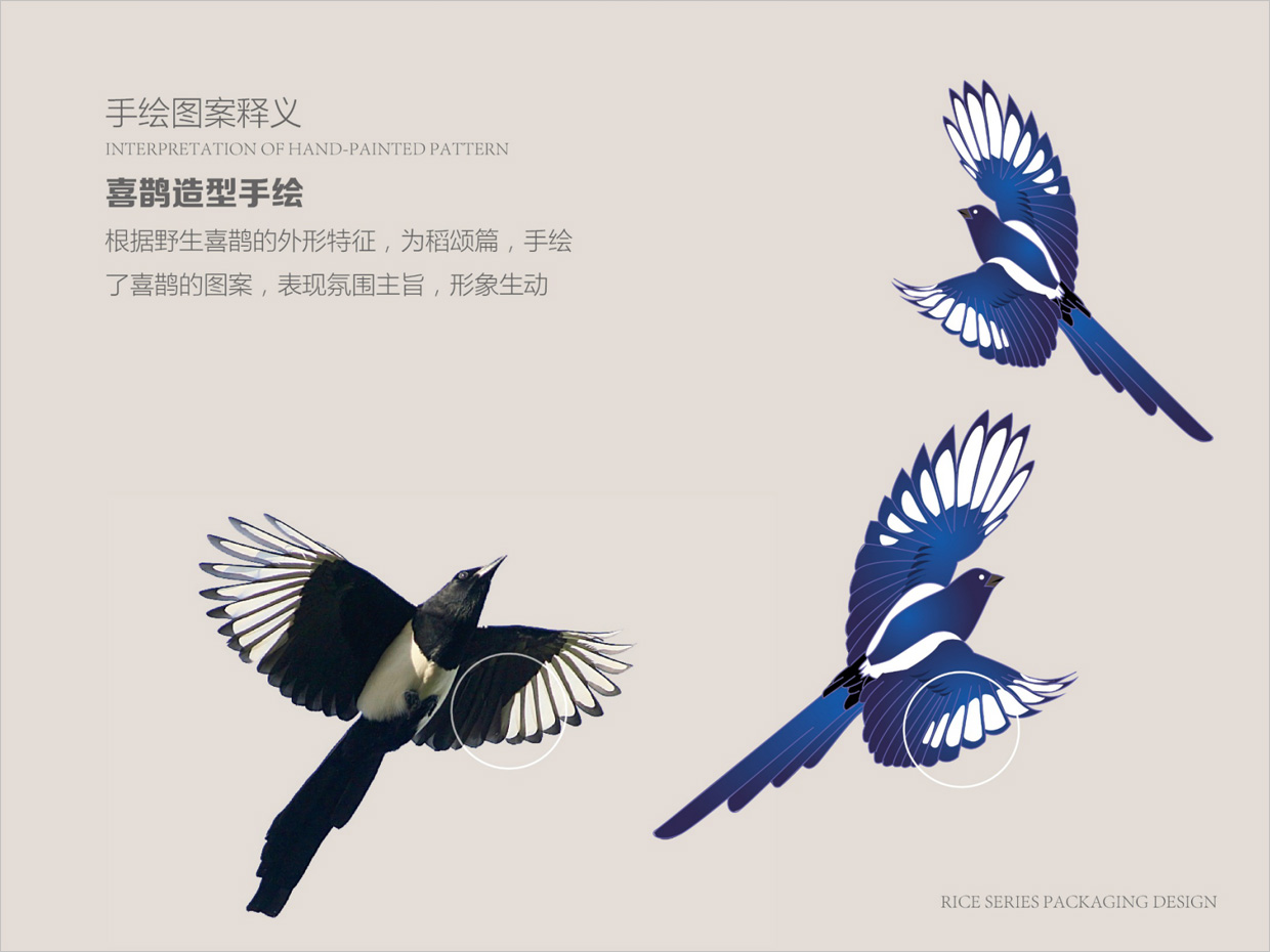 綠牧嶺大米農(nóng)產(chǎn)品包裝設(shè)計之喜鵲手繪插圖