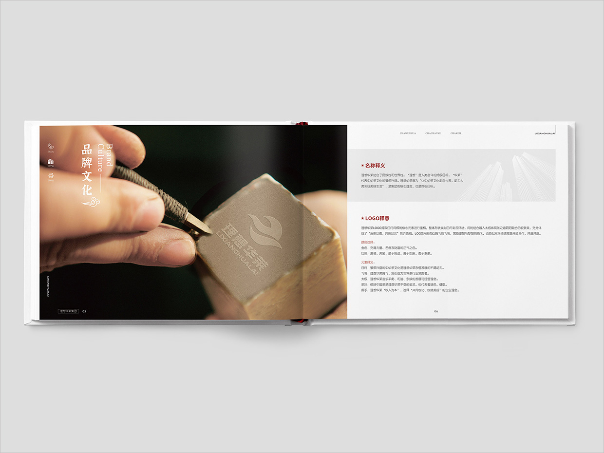 理想華萊科技集團公司畫冊設計之品牌文化設計