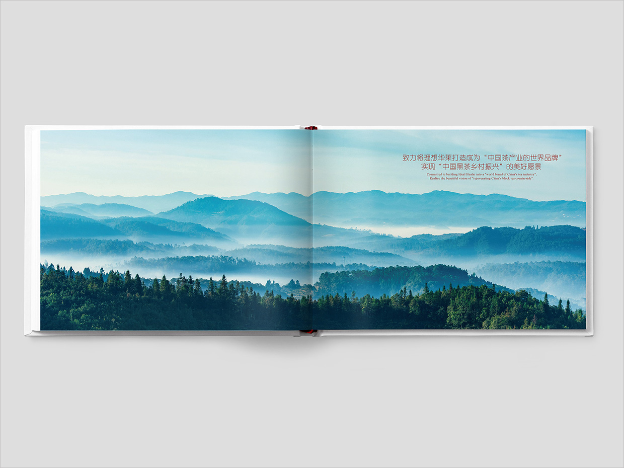 理想華萊科技集團公司畫冊設計之扉頁設計