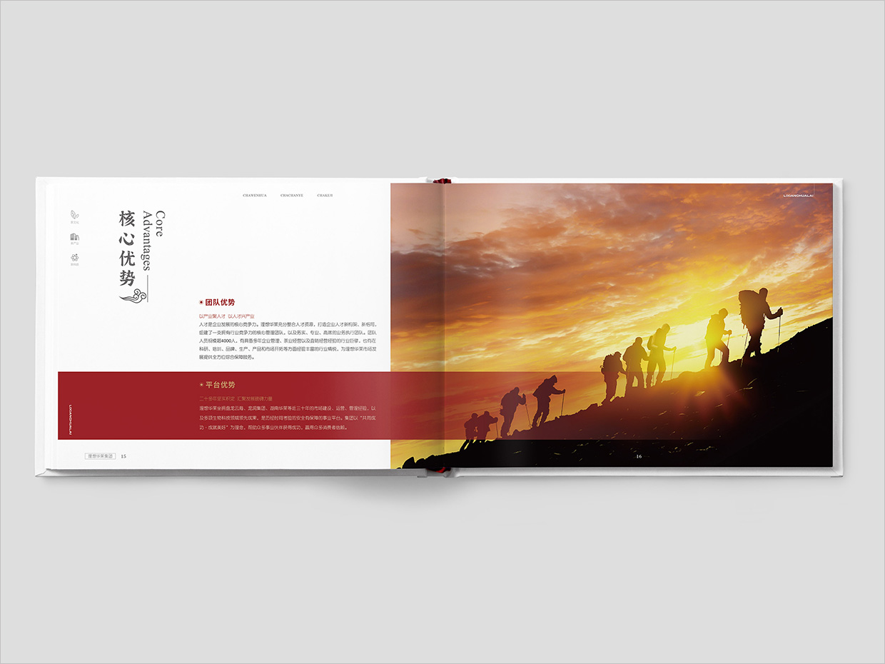 理想華萊科技集團公司畫冊設計之核心優(yōu)勢頁面設計