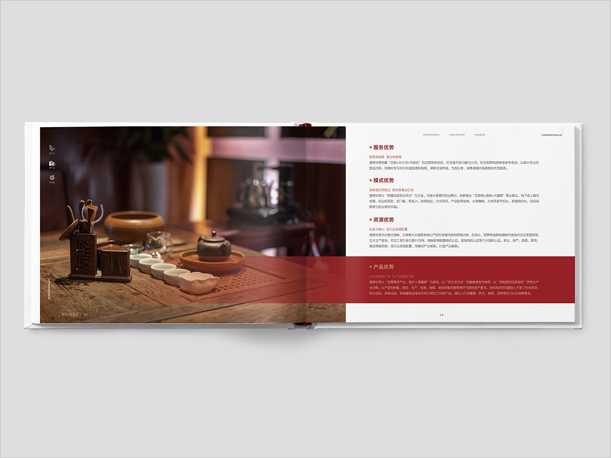 理想華萊科技集團公司畫冊設計之產(chǎn)品優(yōu)勢頁面設計