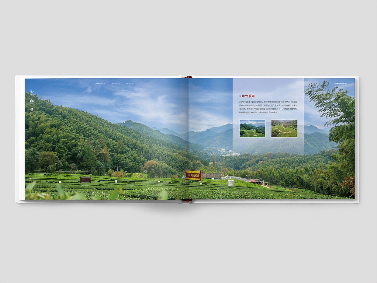 理想華萊科技集團公司畫冊設計之水龍茶園頁面設計