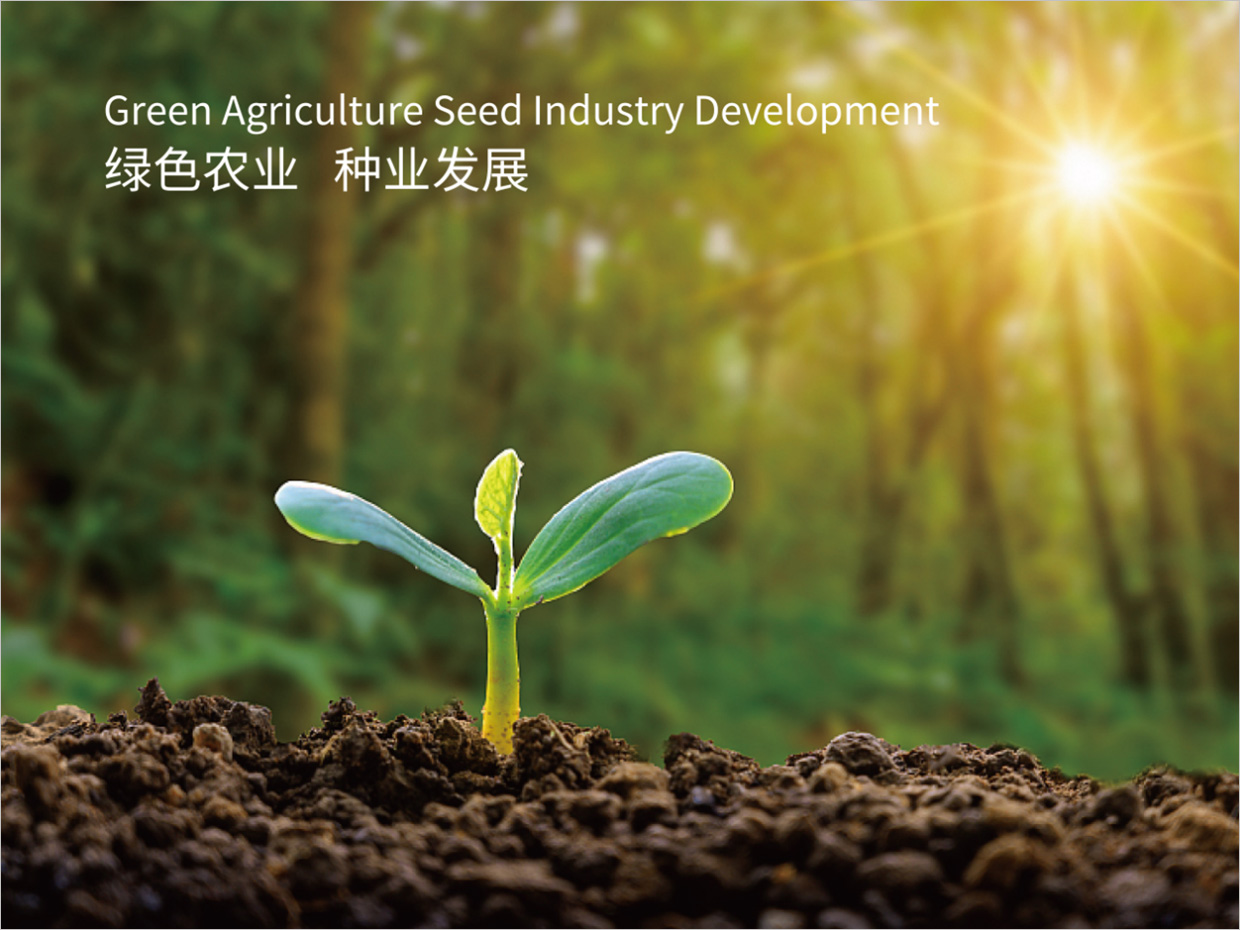 北京先農(nóng)投資管理公司logo設(shè)計(jì)創(chuàng)意理念說明之禾苗幼芽